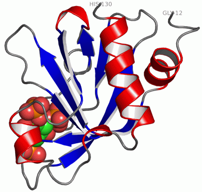 Image Asym./Biol. Unit - manually