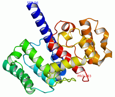 Image Asym./Biol. Unit - manually