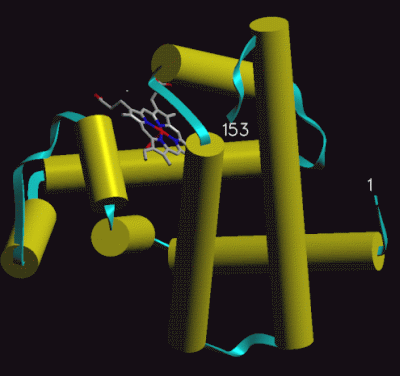 Image Asym./Biol. Unit - manually