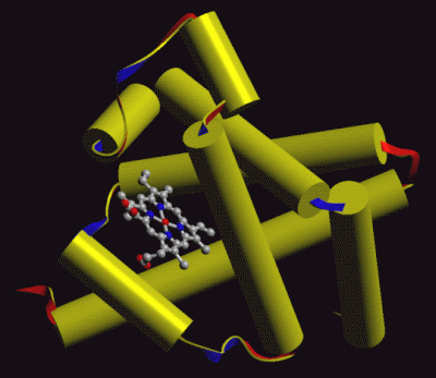 Image Asym./Biol. Unit - manually