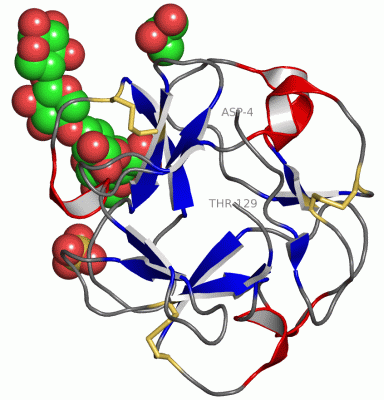 Image Asym./Biol. Unit - manually