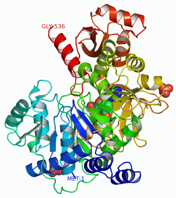 Image Asym./Biol. Unit - manually