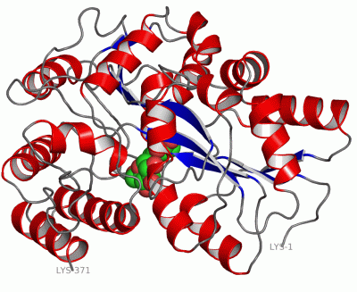 Image Asym./Biol. Unit - manually