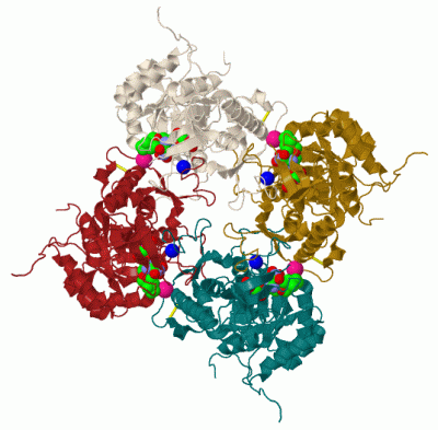 Image Biol.Unit 1 - manually