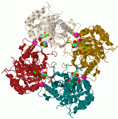 Image Biol.Unit 1 - manually