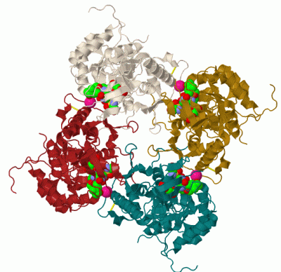 Image Biol.Unit 1 - manually