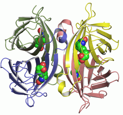 Image Asym./Biol. Unit - manually