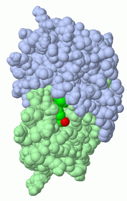 Image Asym./Biol. Unit - manually