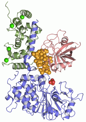 Image Asym./Biol. Unit - manually