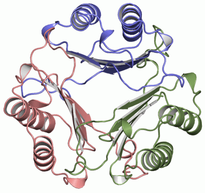 Image Asym./Biol. Unit - manually