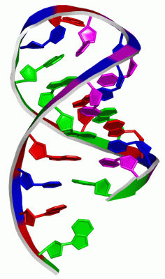 Image Biol.Unit 1 - manually