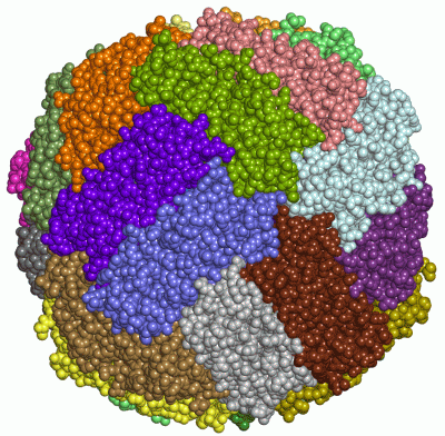 Image Asym./Biol. Unit - manually