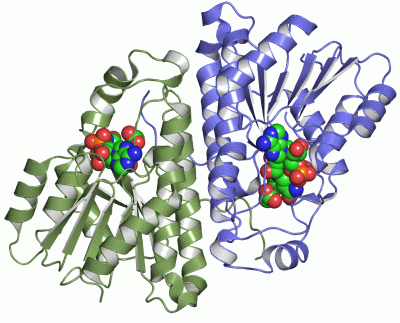 Image Asym./Biol. Unit - manually