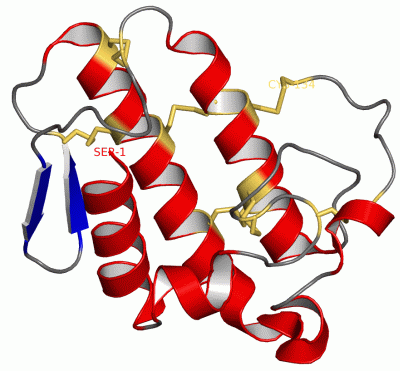 Image Asym./Biol. Unit - manually