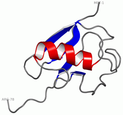 Image NMR Structure - manually