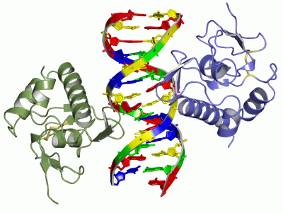 Image Asym./Biol. Unit - manually