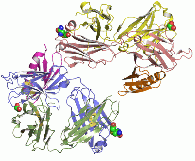Image Asym.Unit - manually
