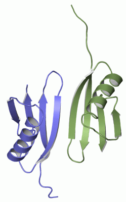 Image Asym.Unit - manually