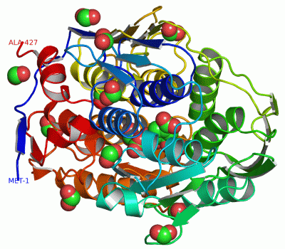 Image Asym./Biol. Unit - manually