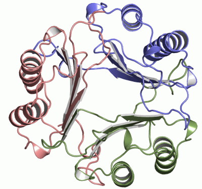 Image Asym./Biol. Unit - manually