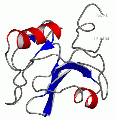 Image Asym./Biol. Unit - manually