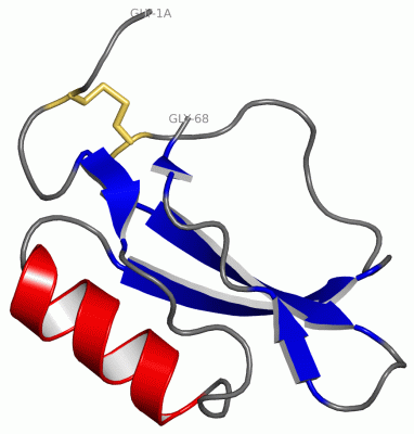 Image NMR Structure - manually