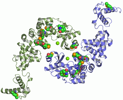 Image Asym./Biol. Unit - manually