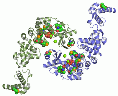 Image Asym./Biol. Unit - manually