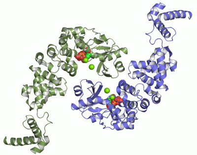 Image Asym./Biol. Unit - manually