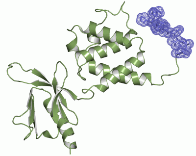 Image Asym./Biol. Unit - manually