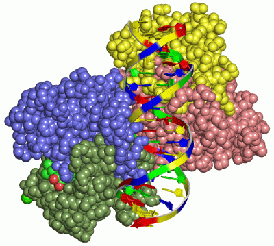 Image Asym./Biol. Unit - manually