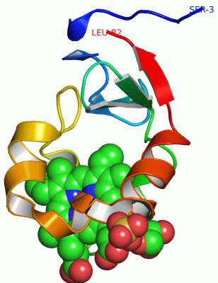 Image Asym./Biol. Unit - manually