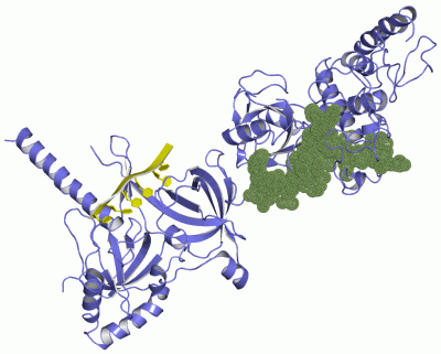 Image Asym./Biol. Unit - manually