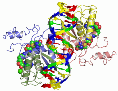 Image Asym./Biol. Unit - manually