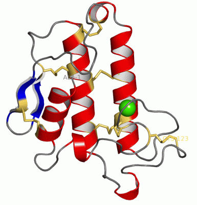Image Asym./Biol. Unit - manually