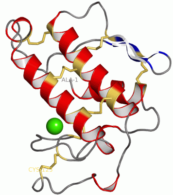 Image Asym./Biol. Unit - manually