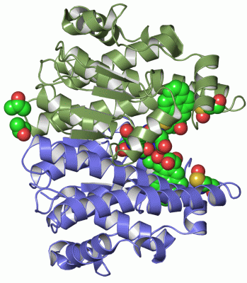 Image Asym./Biol. Unit - manually