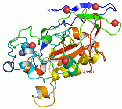 Image Asym./Biol. Unit - manually