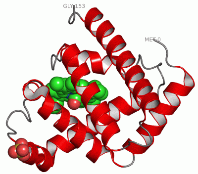 Image Asym./Biol. Unit - manually