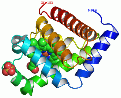 Image Asym./Biol. Unit - manually