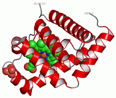 Image Asym./Biol. Unit - manually