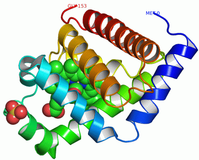 Image Asym./Biol. Unit - manually