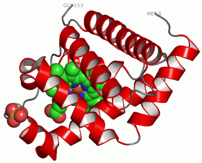 Image Asym./Biol. Unit - manually