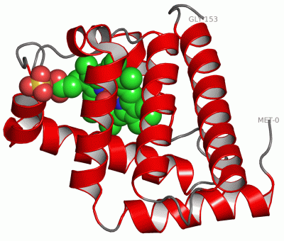 Image Asym./Biol. Unit - manually