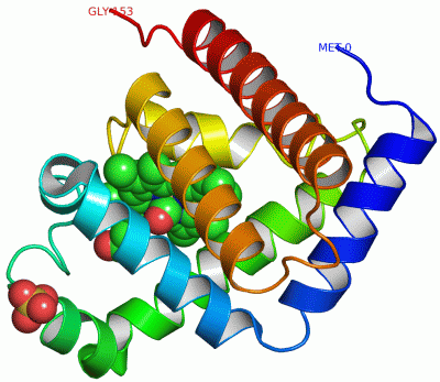 Image Asym./Biol. Unit - manually