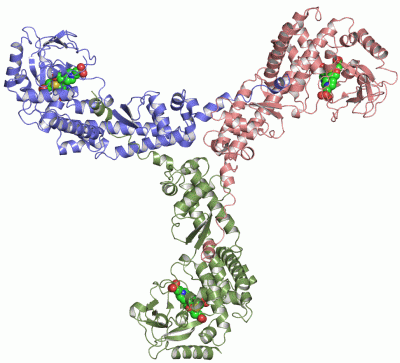 Image Asym.Unit - manually
