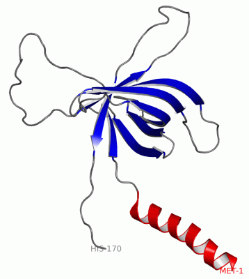 Image NMR Structure - manually