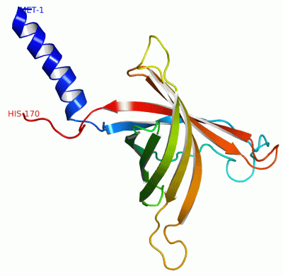 Image NMR Structure - manually