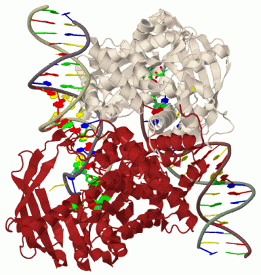 Image Biol.Unit 1 - manually