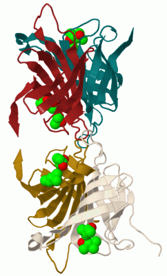 Image Biol.Unit 1 - manually